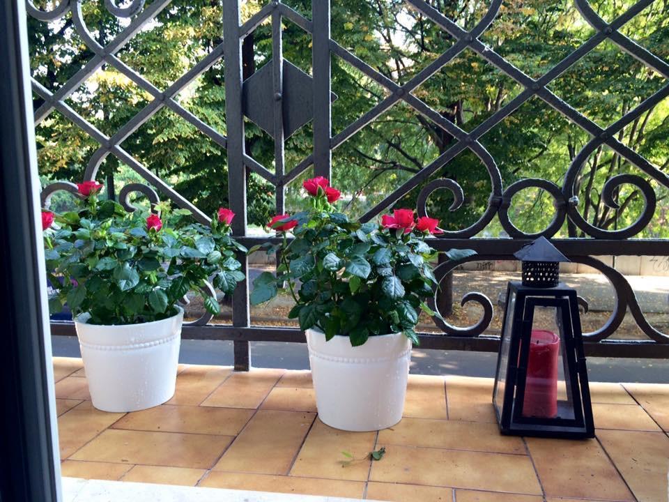 Maison Dora 10 Turin Ngoại thất bức ảnh